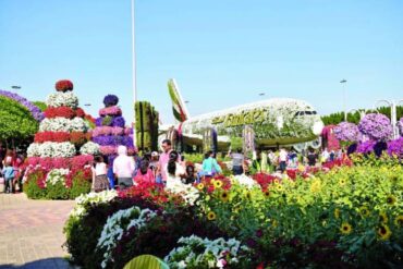 Dubai Miracle Garden