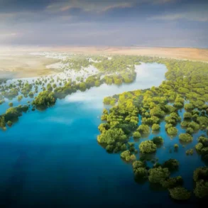 Förderung des umweltfreundlichen Tourismus in den VAE durch die fünfte Ausgabe von „Der schönste Winter“.